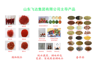 匠心調(diào)味，點(diǎn)亮每一餐——全方位解析調(diào)味品產(chǎn)品與生產(chǎn)工藝